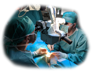 żylaki powrózka nasiennego - operacja mikrochirurgiczna