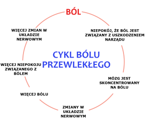 przewlekły ból jądra - cykl bólu przewlekłego